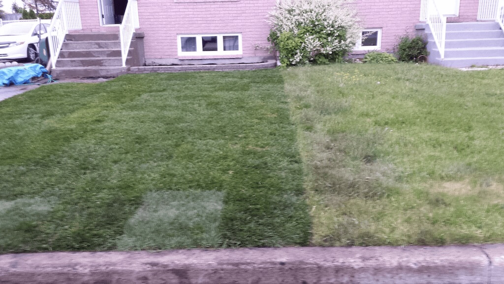 sod and soil transformation