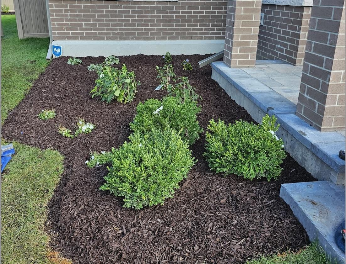 Entryway garden