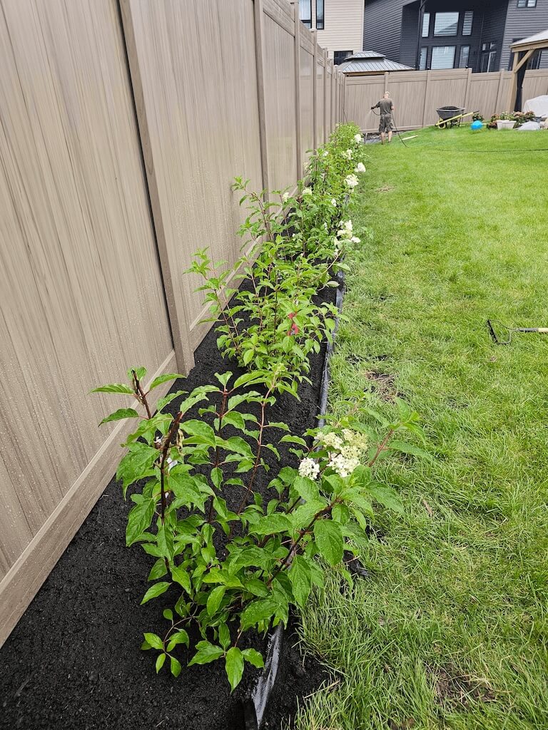 Flower bed along fence