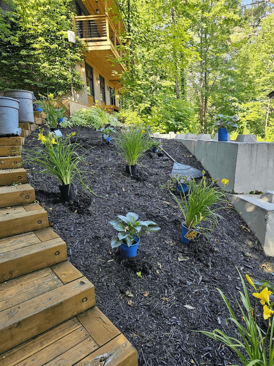 Sloped flower bed along stairs