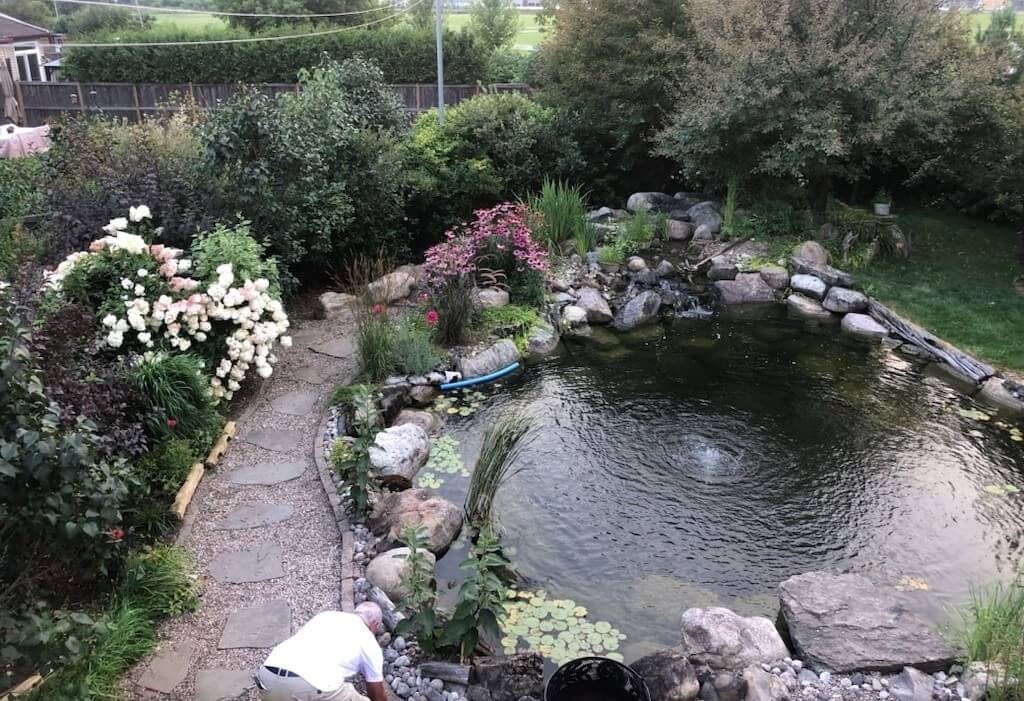 Garden Retreat with Pond