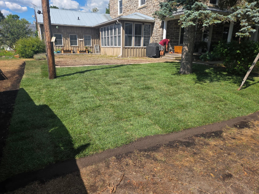 Install sod in backyard